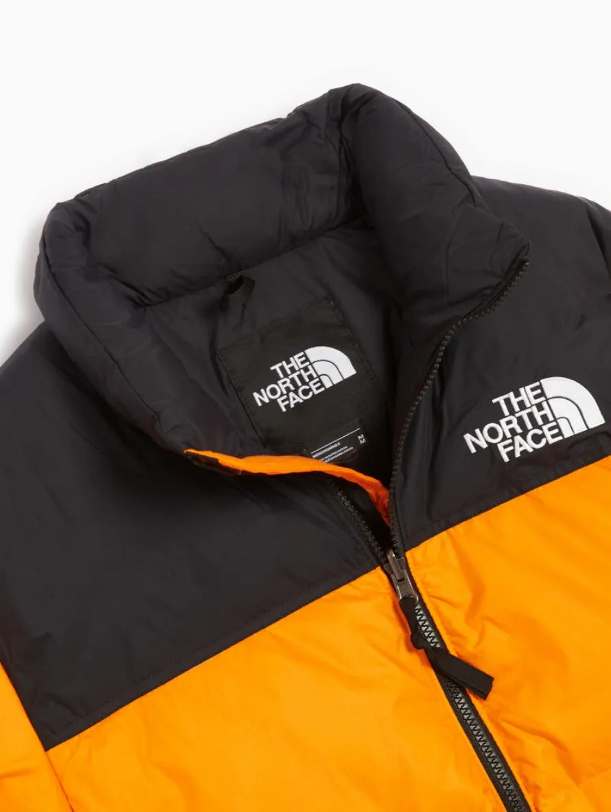 Giubbotteria The North Face NF0A3C8D78M1