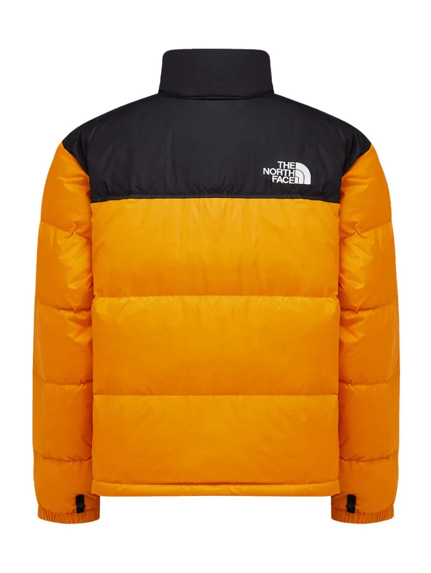 Giubbotteria The North Face NF0A3C8D78M1