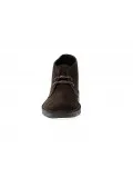 Polacco Clarks DESERT BOOT in camoscio marrone