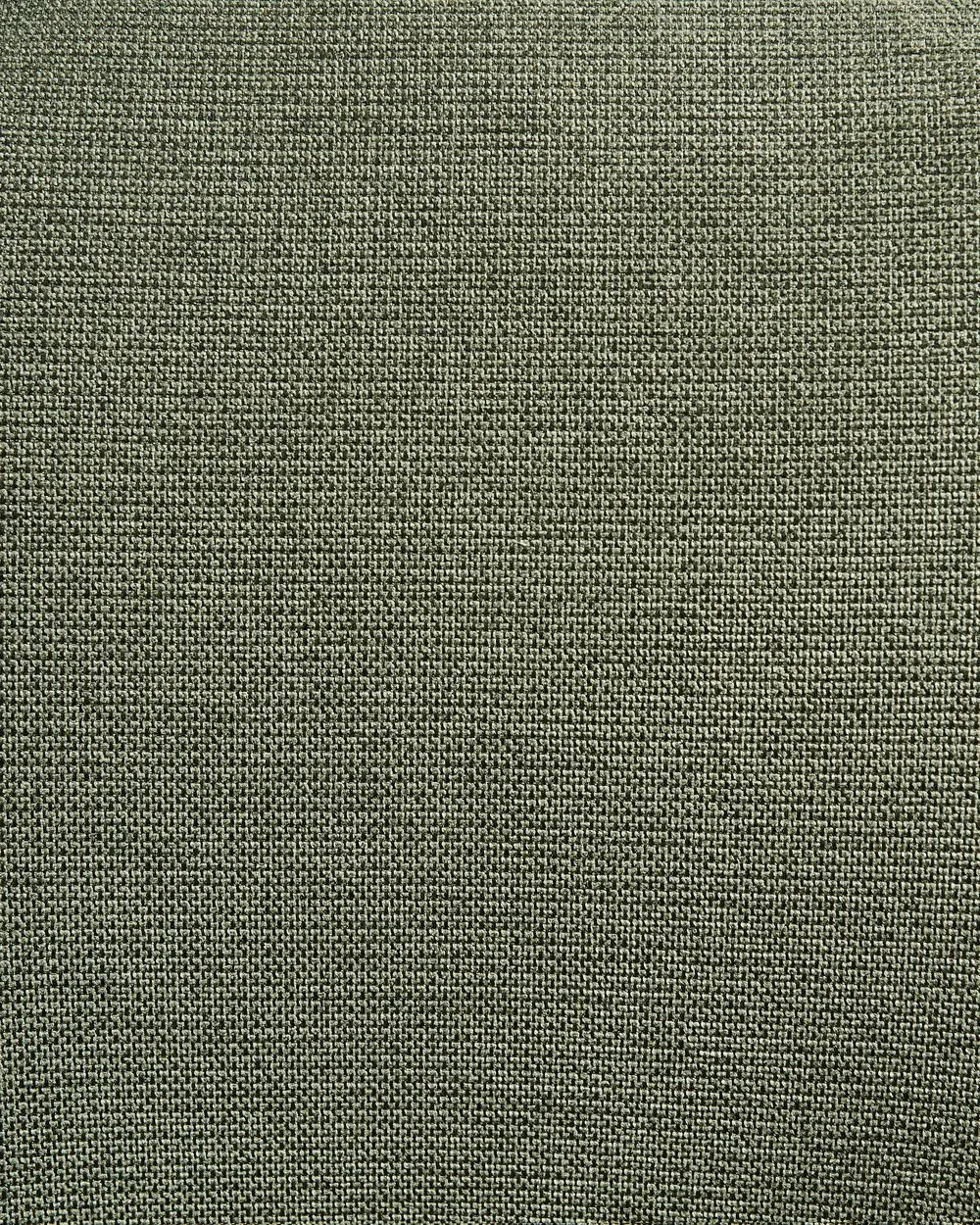 Set of 2 Dining Chairs AMITY Fabric Green