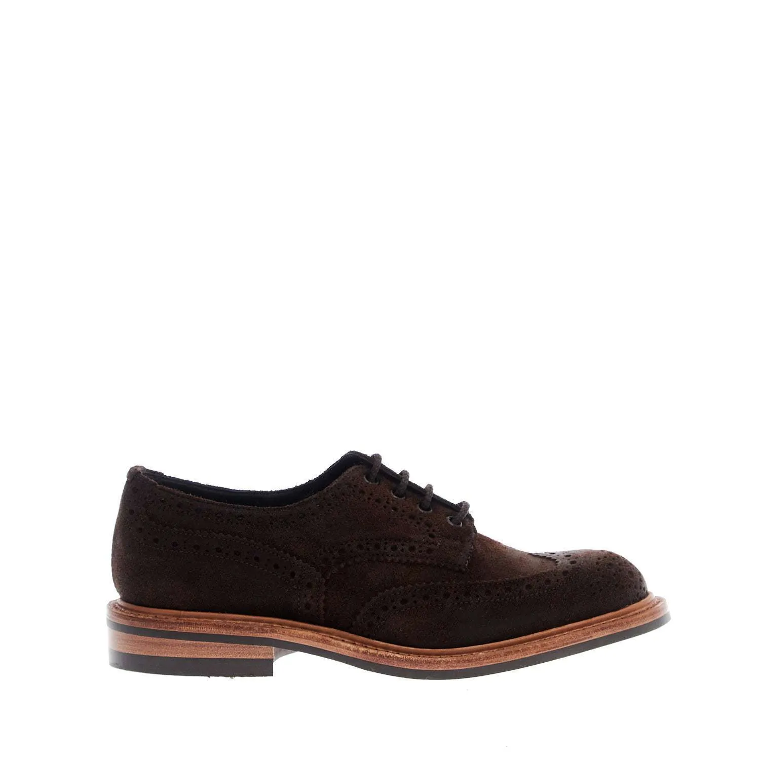 Stringate Bourton in Pelle Scamosciata Cerata Marrone